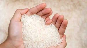 Ilustrasi Beras